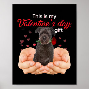 Cute Bouvier Des Flandres This Is My Valentines Da Poster