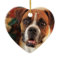 Cute Boxer