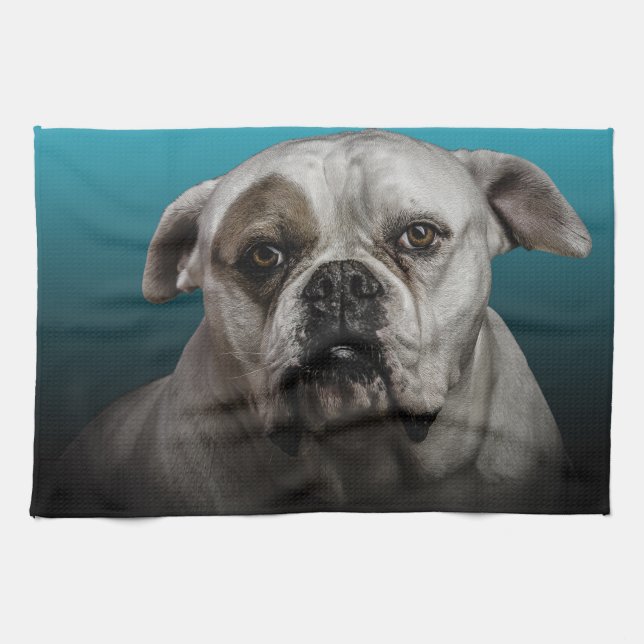 Cute Boxer Dog w Blue Black Gradient  background Kitchen Towel (Horizontal)