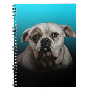 Cute Boxer Dog w Blue Black Gradient  background Notebook