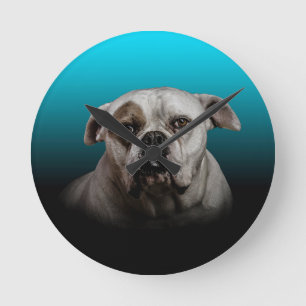 Cute Boxer Dog w Blue Black Gradient  background Round Clock