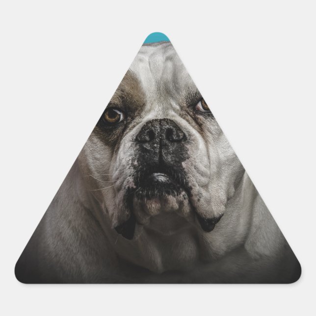 Cute Boxer Dog w Blue Black Gradient  background Triangle Sticker (Front)