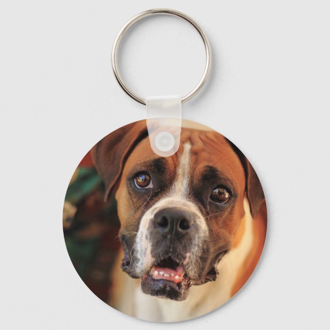 Cute Boxer Keychain (Front)