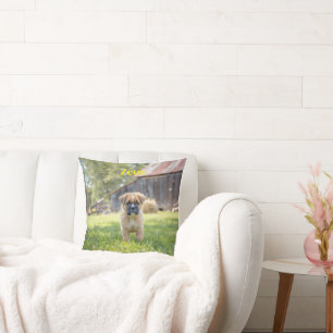 Cute Boxer Puppy Personalized Throw Pillow