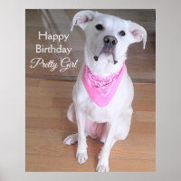 Cute Bright Eyes White Dog Wearing Pink Birthday