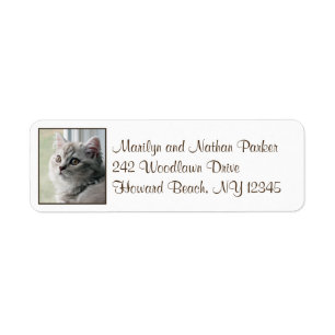 Cute British Long Hair Kitten Return Address Label