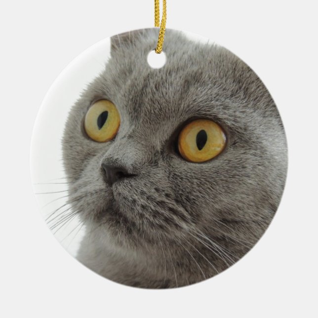 Cute British Shorthair cat Ceramic Ornament (Front)