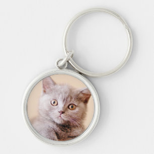 Cute British Shorthair Cat Keychain