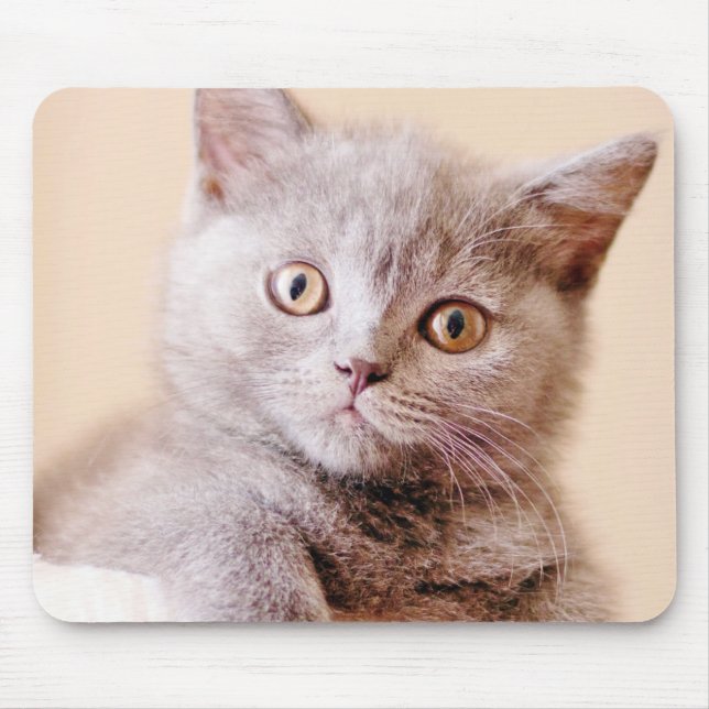 Cute British Shorthair Cat Mouse Pad (Front)