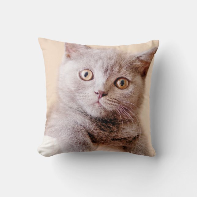 Cute British Shorthair Cat Throw Pillow (Front)