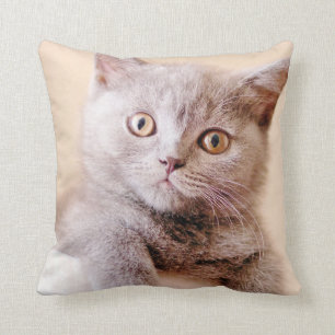 Cute British Shorthair Cat Throw Pillow