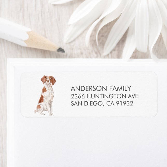 Cute Brittany Dog Return Address Label (Insitu)