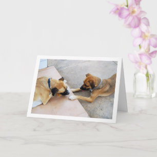 Cute Brother and Sister, Dog Portrait Card