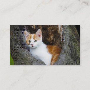 Cute Brown and White Kitten Business Card