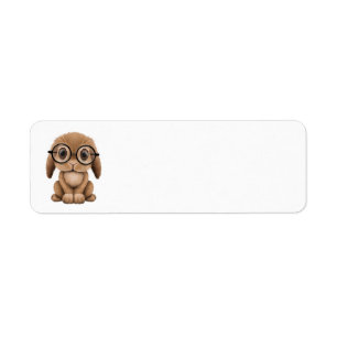 Cute Brown Baby Bunny Wearing Glasses