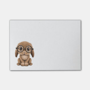 Cute Brown Baby Bunny Wearing Glasses Post-it Notes