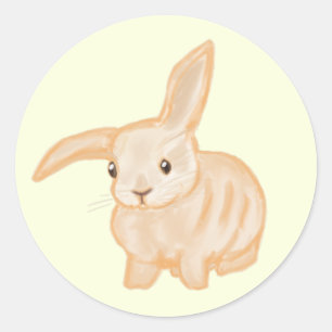 Cute Brown Bunny Rabbit - transparent on yellow. Classic Round Sticker
