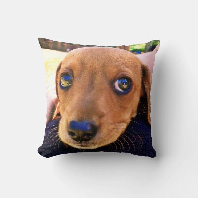 Cute Brown Dachshund Puppy Dog Throw Pillow (Front)