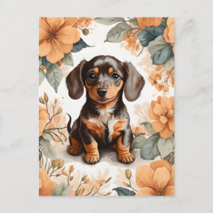 Cute Brown Dachshund Puppy Peach Floral Postcard