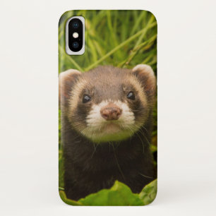 Cute Brown Ferret in the Grass Case-Mate iPhone Case