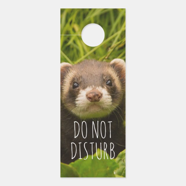 Cute Brown Ferret in the Grass Do Not Disturb Door Hanger (Front)
