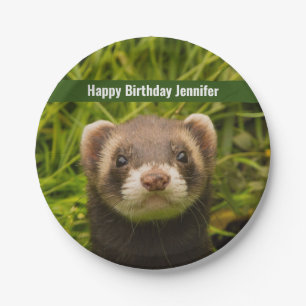Cute Brown Ferret in the Grass Happy Birthday Paper Plate