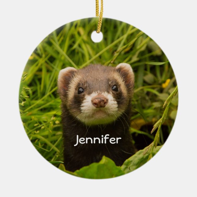 Cute Brown Ferret in the Grass Photo Ceramic Ornament (Front)