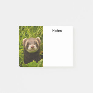 Cute Brown Ferret in the Grass Post-it Notes