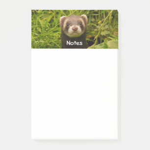 Cute Brown Ferret in the Grass Post-it Notes