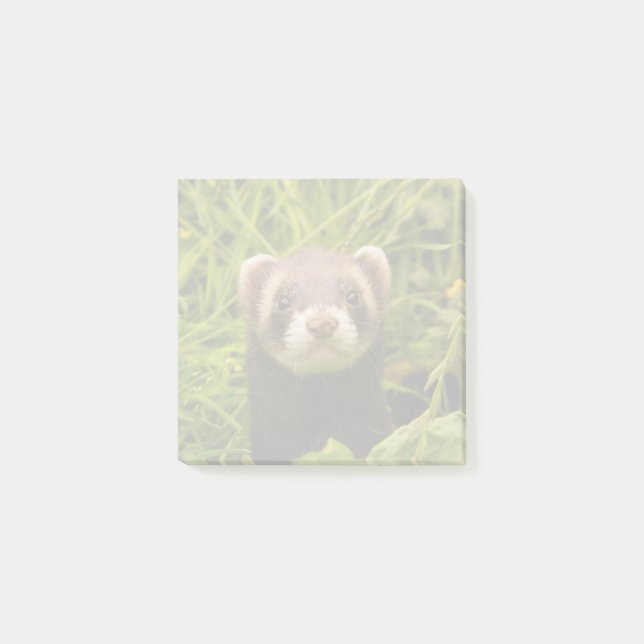Cute Brown Ferret in the Grass Post-it Notes (Front)