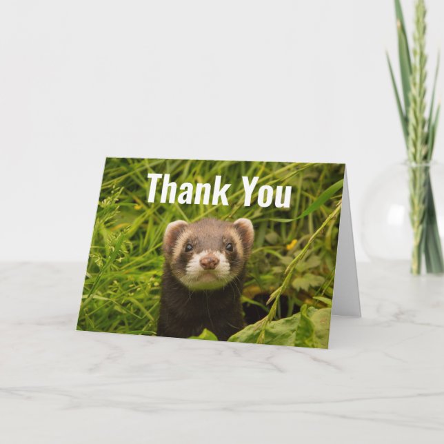 Cute Brown Ferret in the Grass Thank You Card (Front)