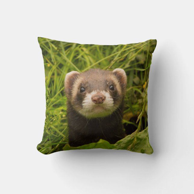 Cute Brown Ferret in the Grass Throw Pillow (Front)