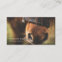 Cute Brown Horse Nose