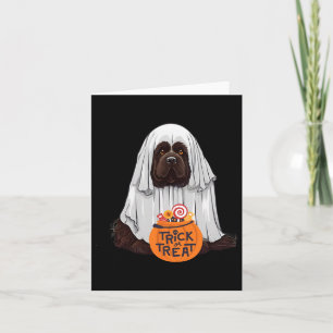 Cute Brown Newfoundland Dog Halloween  Card