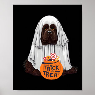 Cute Brown Newfoundland Dog Halloween Poster