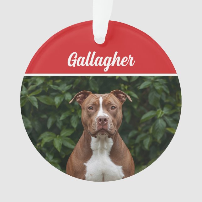 Cute Brown Pit Bull Dog Holiday Christmas Photo Ornament (Front)
