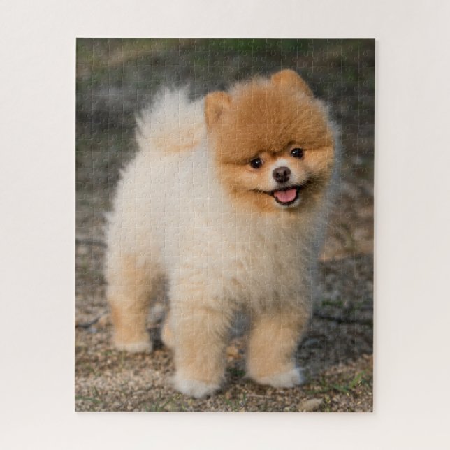 Cute Brown Pomeranian Puppy Dog Jigsaw Puzzle (Vertical)