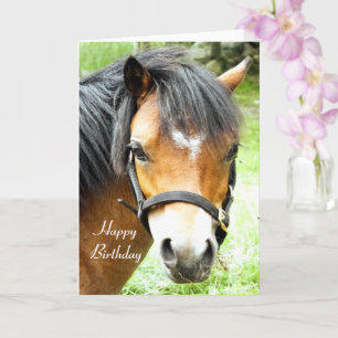 CUTE BROWN PONY   CARD