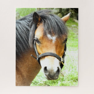 CUTE BROWN PONY JIGSAW PUZZLE