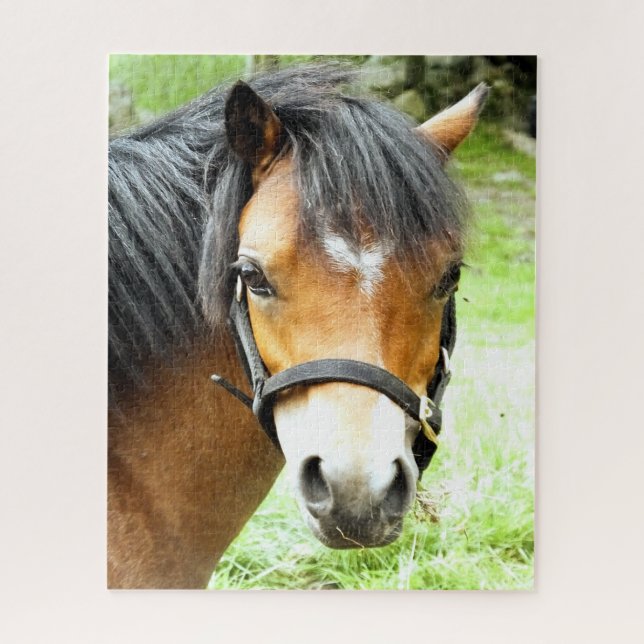 CUTE BROWN PONY JIGSAW PUZZLE (Vertical)