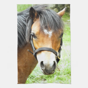 CUTE BROWN PONY  KITCHEN TOWEL