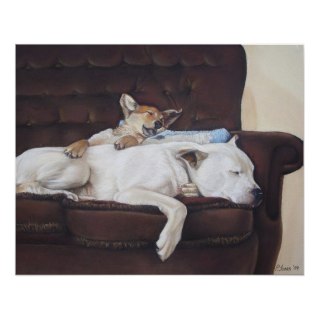 cute brown puppy cuddling white american bulldog poster (Front)