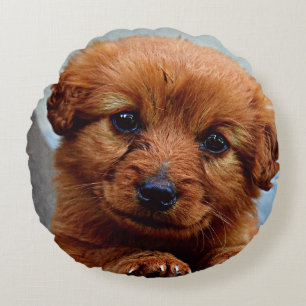 Cute brown puppy portrait round pillow