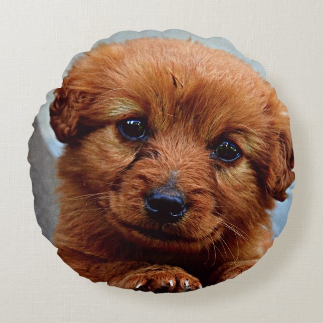 Cute brown puppy portrait round pillow (Front)