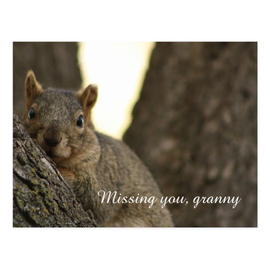 Cute brown squirrel postcard for grandma