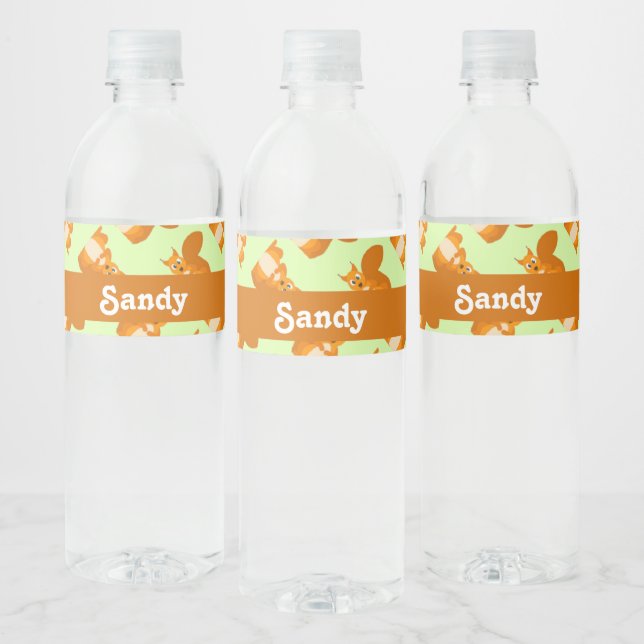 Cute brown squirrels pattern water bottle label (Bottles)
