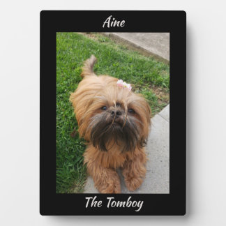 Cute Brown Tomboy Yorkshire Terrier Plaque
