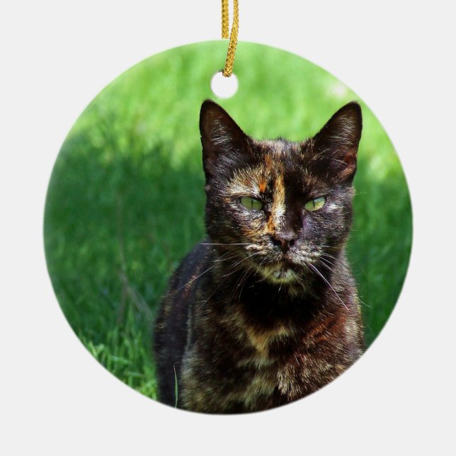 Cute Brown Tortoiseshell Cat Photo Ceramic Ornament (Front)