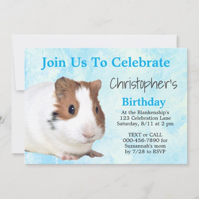 Cute Brown White  Guinea Pig Custom Party Invitation (Front)