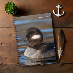 Cute Bufflehead Duck on Sunlit Waters Notebook
